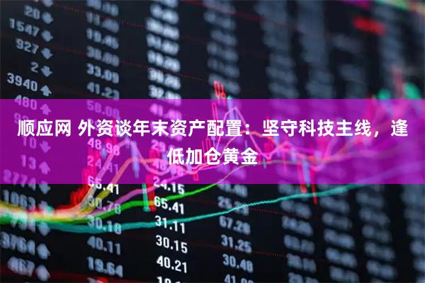 顺应网 外资谈年末资产配置：坚守科技主线，逢低加仓黄金