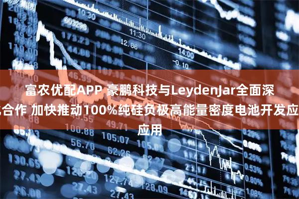 富农优配APP 豪鹏科技与LeydenJar全面深化合作 加快推动100%纯硅负极高能量密度电池开发应用