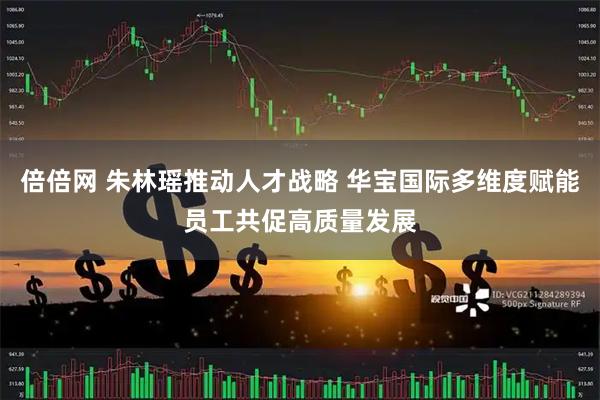 倍倍网 朱林瑶推动人才战略 华宝国际多维度赋能员工共促高质量发展