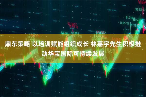 鼎东策略 以培训赋能组织成长 林嘉宇先生积极推动华宝国际可持续发展