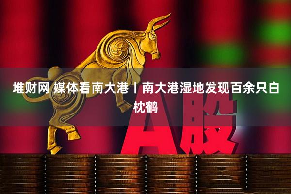 堆财网 媒体看南大港丨南大港湿地发现百余只白枕鹤