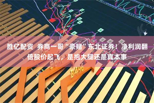 胜亿配资  券商一哥“豪赌”东北证券！净利润翻倍股价起飞，是抱大腿还是真本事