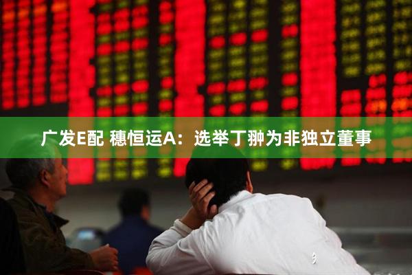广发E配 穗恒运A：选举丁翀为非独立董事