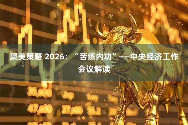 聚美策略 2026：“苦练内功”——中央经济工作会议解读
