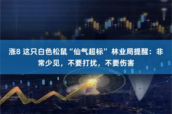 涨8 这只白色松鼠“仙气超标” 林业局提醒：非常少见，不要打扰，不要伤害