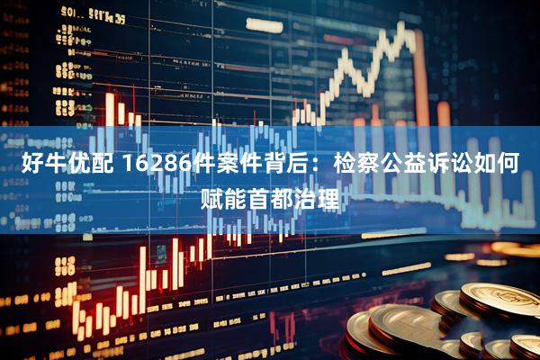 好牛优配 16286件案件背后：检察公益诉讼如何赋能首都治理