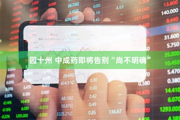 园十州 中成药即将告别“尚不明确”
