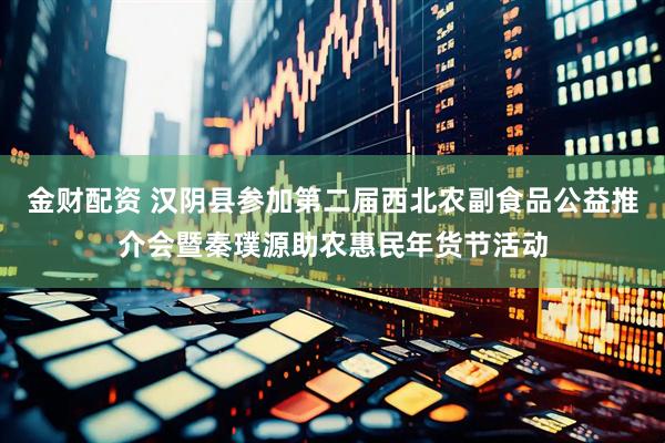 金财配资 汉阴县参加第二届西北农副食品公益推介会暨秦璞源助农惠民年货节活动